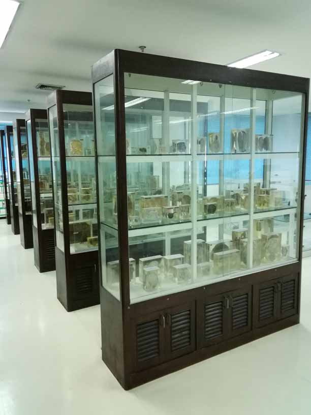 Lab Patho 05.jpg 62.5K